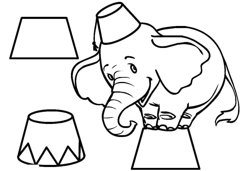 Coloring Circus elephant. Category Animals. Tags:  Animals, elephant.