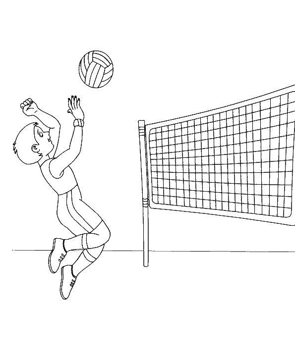 Coloring Volleyball player hits the ball. Category volleyball. Tags:  Sports, volleyball, ball.