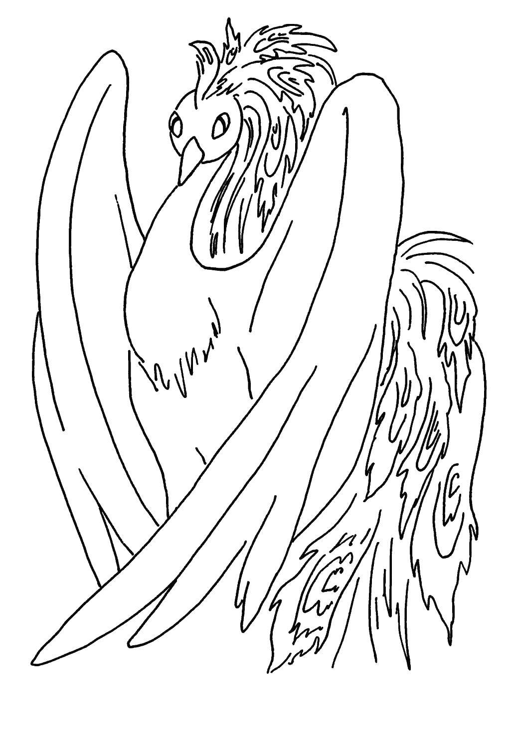 Coloring Firebird. Category The characters from fairy tales. Tags:  Tales, The Firebird.