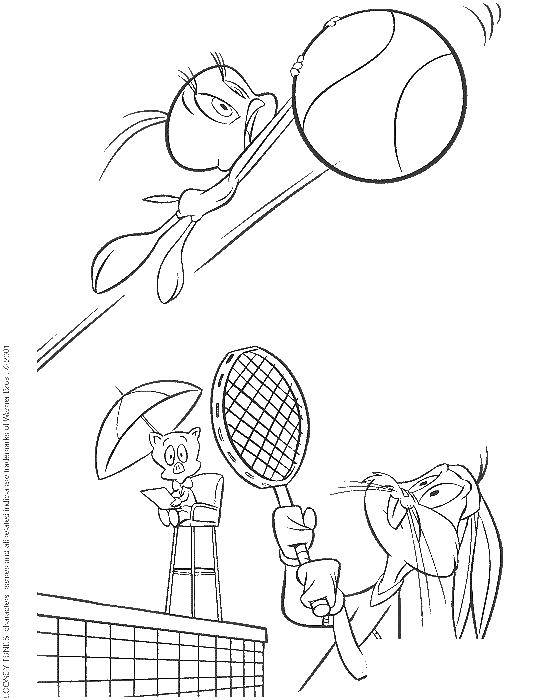 Coloring Bugs Bunny playing tennis. Category cartoons. Tags:  bugs Bunny, ball.