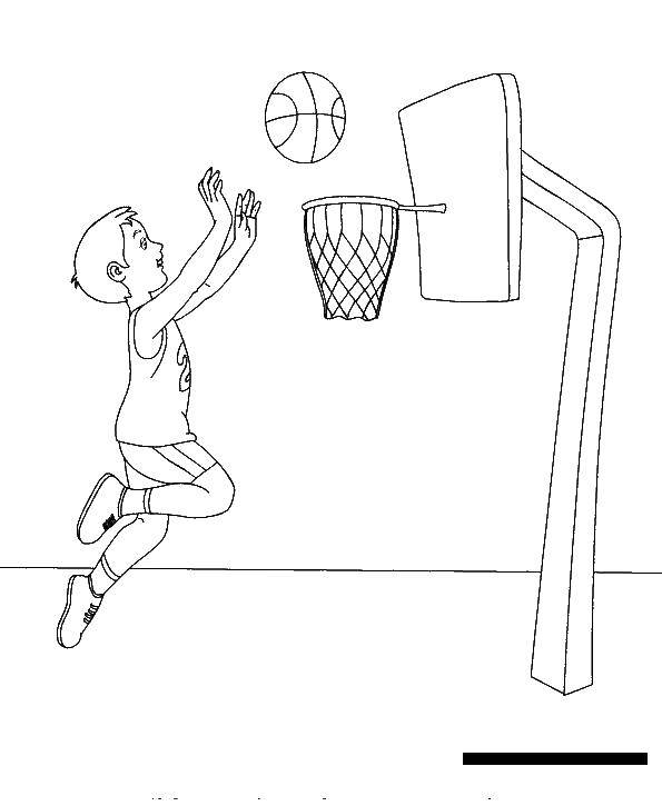 Название: Раскраска Баскетболист. Категория: баскетбол. Теги: баскетбол, мяч.