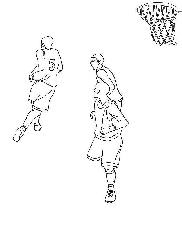 Название: Раскраска Баскетболисты. Категория: баскетбол. Теги: баскетбол, мяч.