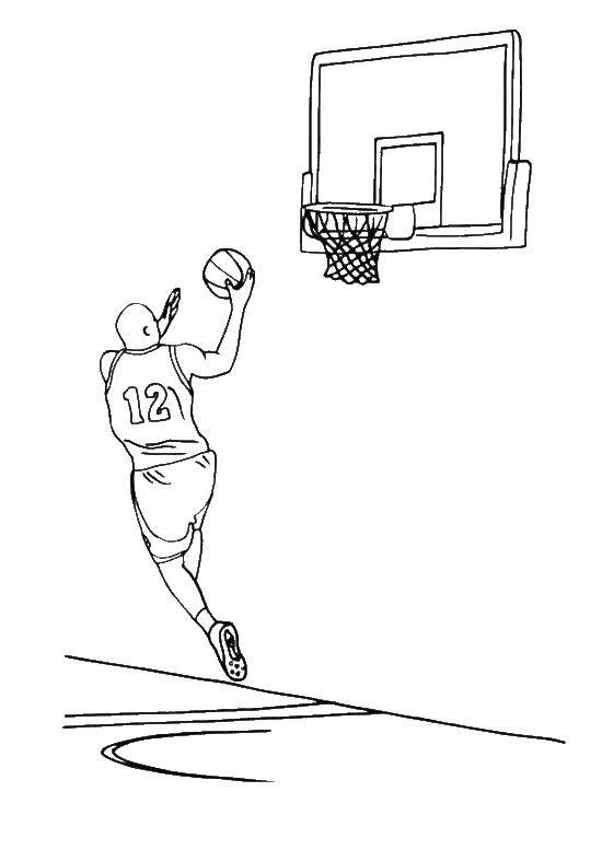 Название: Раскраска Баскетболисты. Категория: баскетбол. Теги: баскетбол, мяч.