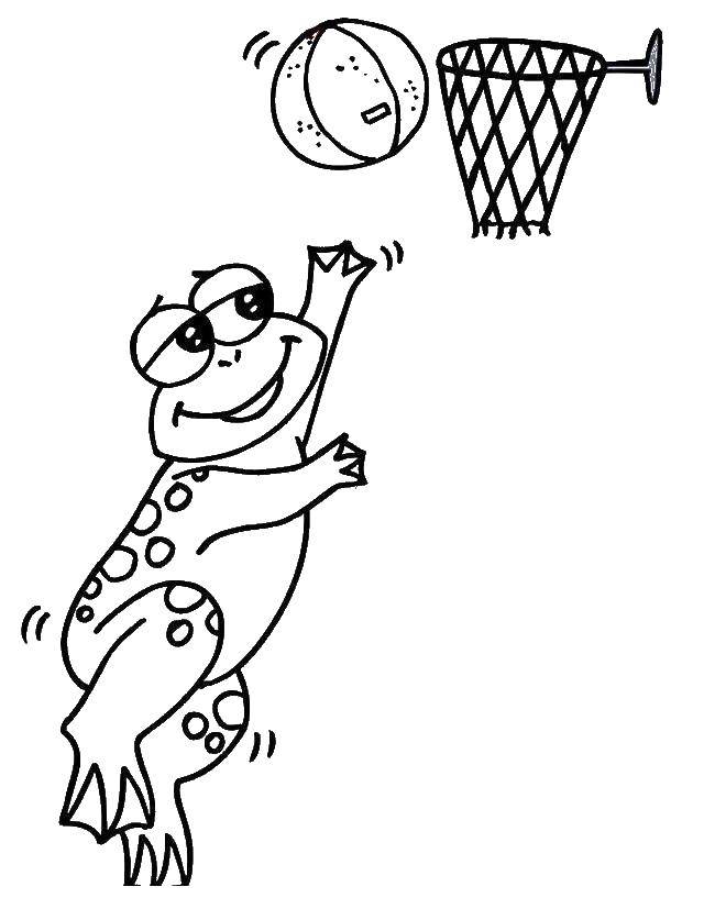 Coloring Frog playing ball. Category basketball. Tags:  basketball, ball.