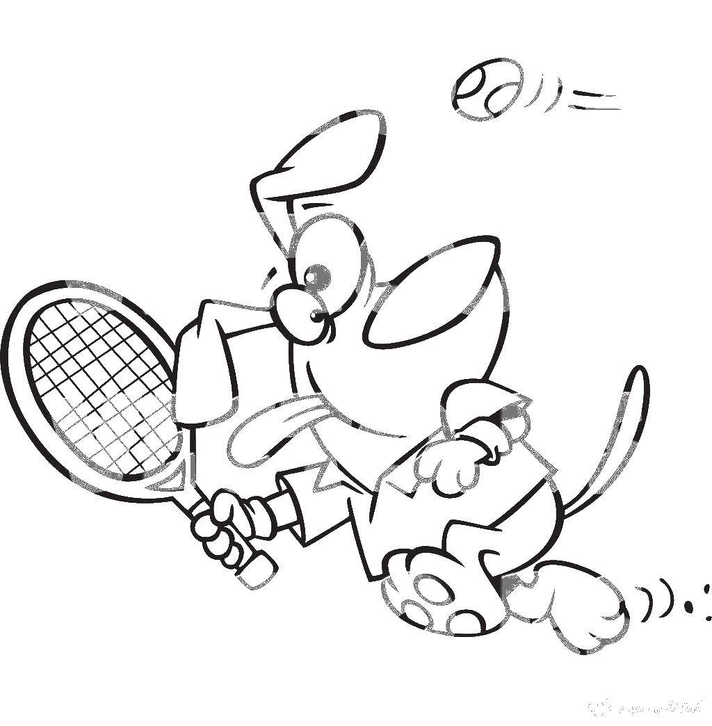 Coloring Dog plays tennis. Category cartoons. Tags:  the dog, tennis.
