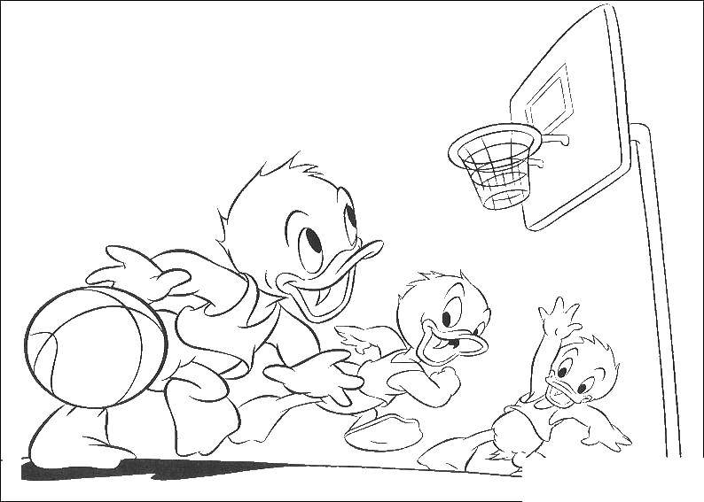 Coloring Ducks playing basketball. Category cartoons. Tags:  basketball, ball, ducks.