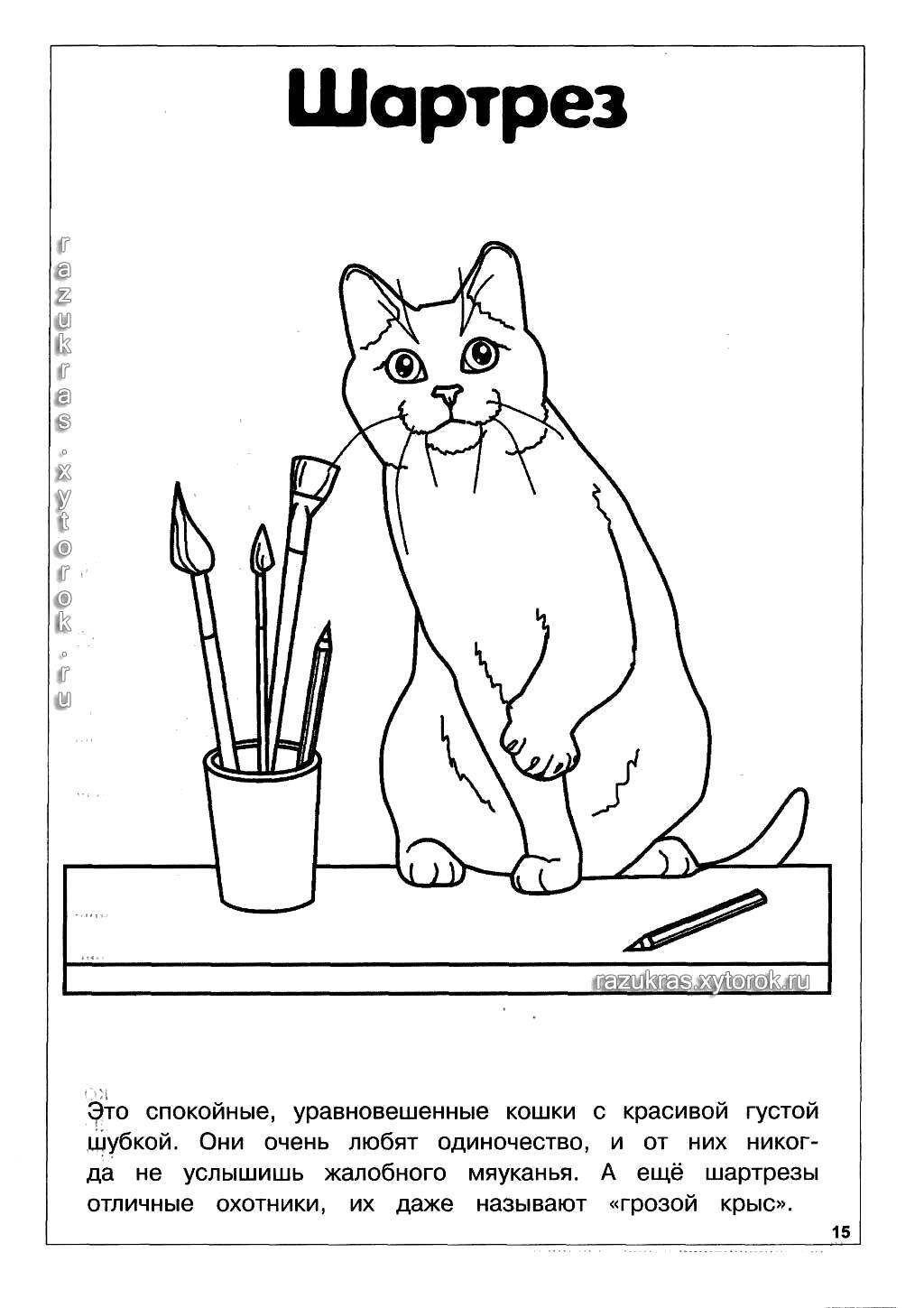 Coloring Chartreuse. Category Cat breed. Tags:  The breed.