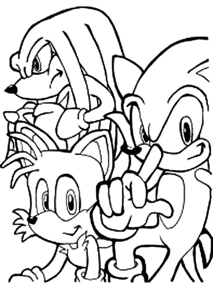 Coloring Sonic the hedgehog and his friends. Category The character from the game. Tags:  sonic , hedgehog.
