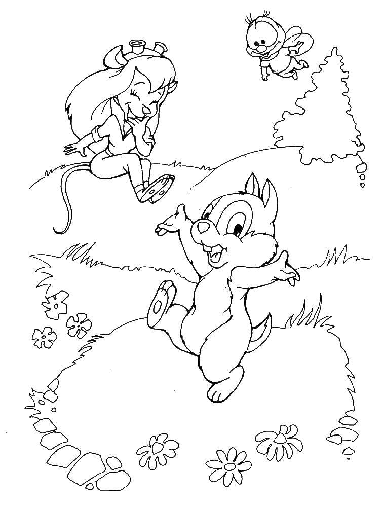 Coloring Chip and Dale rescue Rangers. Category chip and Dale. Tags:  Chip and Dale.