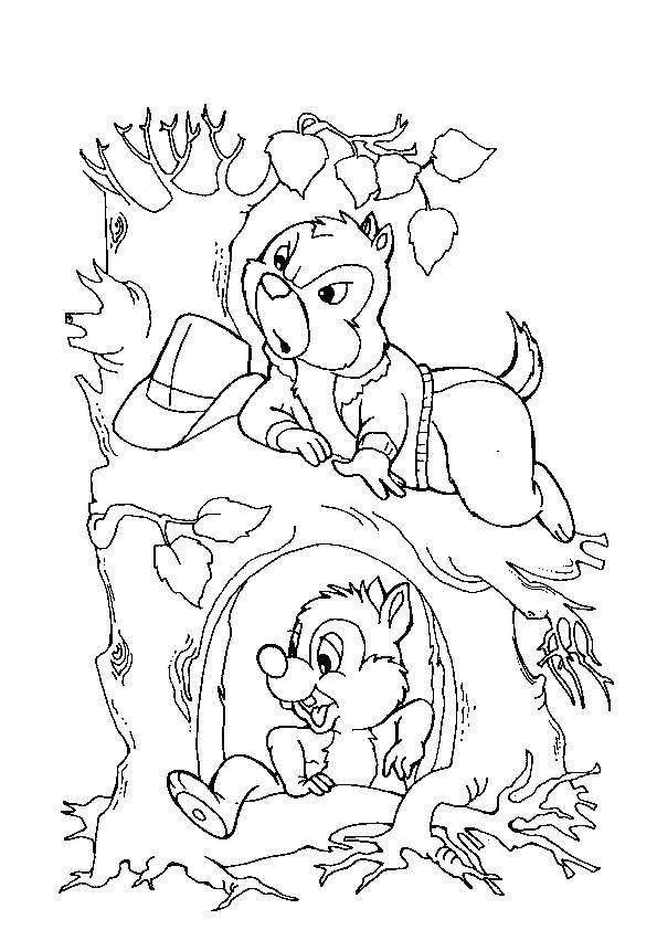 baby chip and dale coloring pages