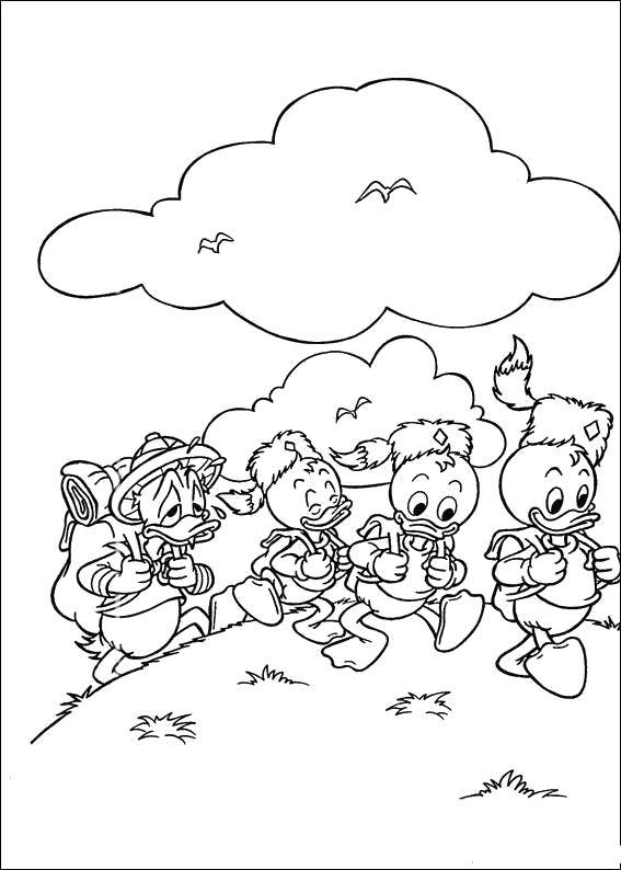 Coloring Donald duck with nephews go camping. Category duck tales. Tags:  Disney, Ducktales, Donald Duck.