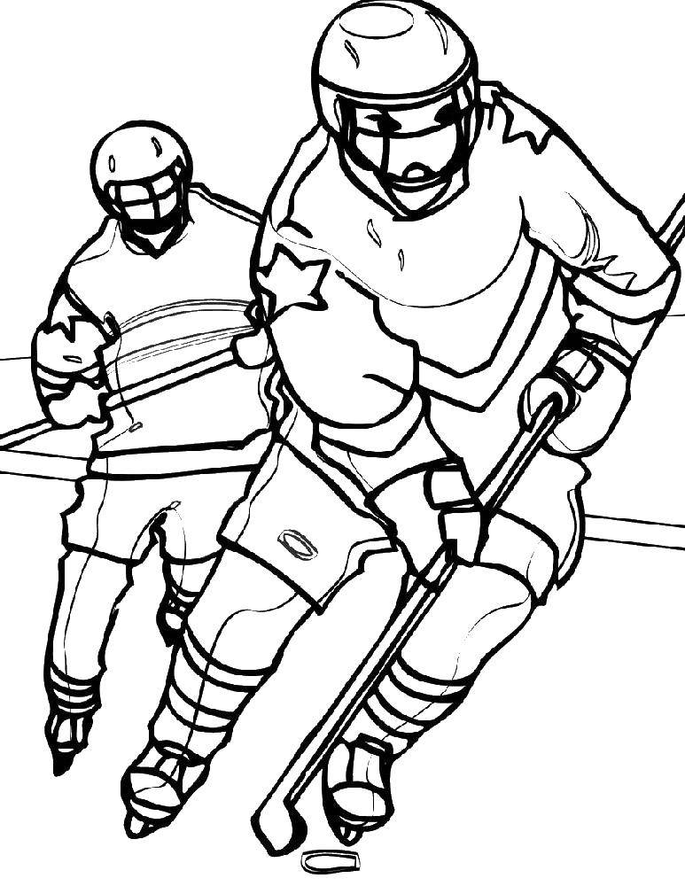Название: Раскраска Хоккеисты. Категория: спорт. Теги: хоккей.