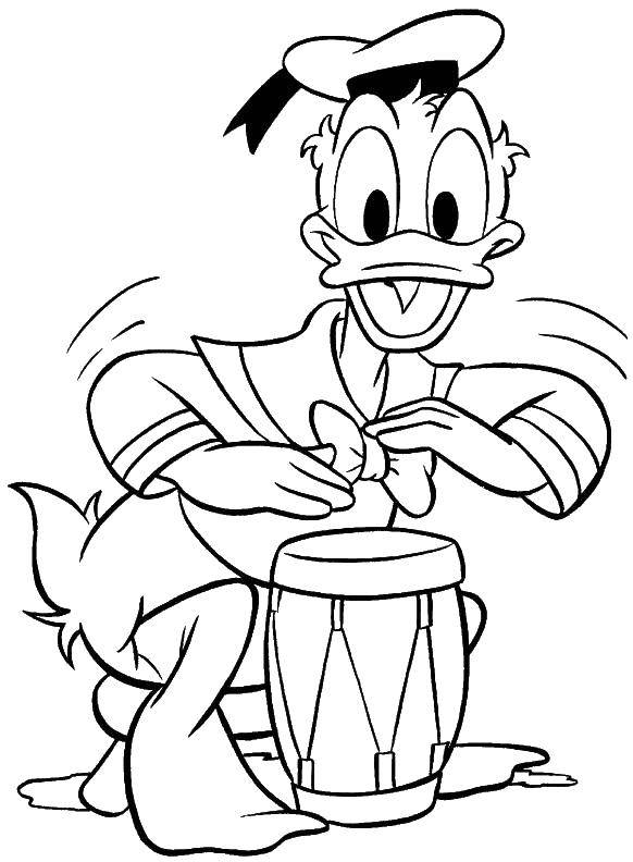 Coloring Donald duck plays the drum. Category duck tales. Tags:  Disney, Ducktales, Donald Duck.