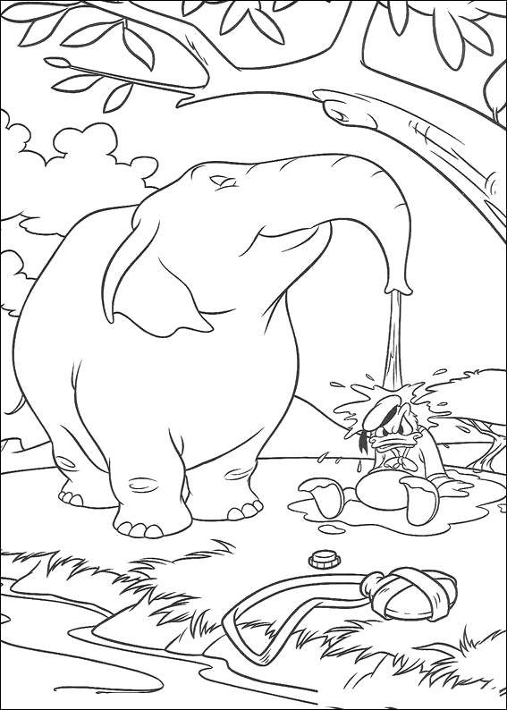 Название: Раскраска Дональда намочил слоник. Категория: утиные истории. Теги: Дисней, Утиные Истории, Дональд Дак.