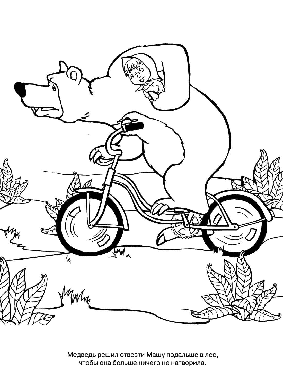 Coloring Bear Masha takes. Category Masha and the bear. Tags:  Cartoon character, Masha and the Bear.