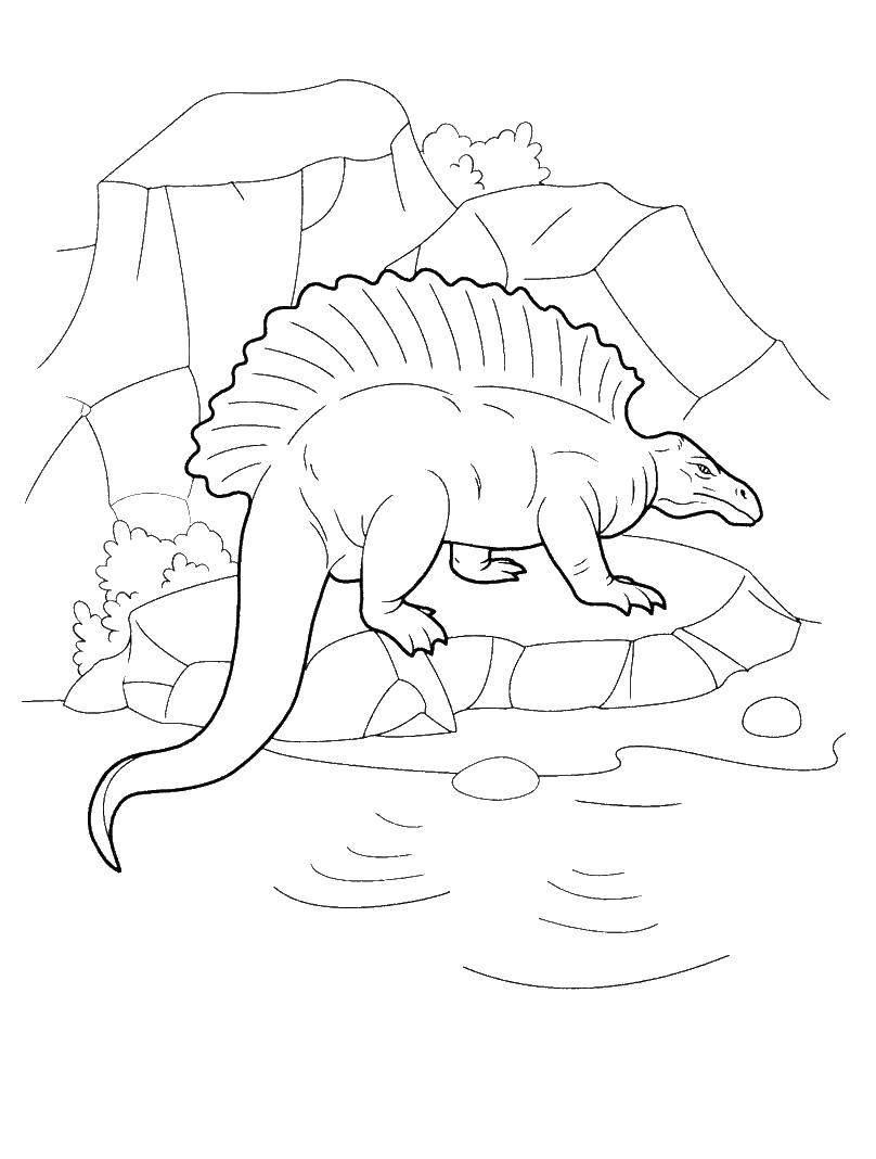 Coloring Stegosaurus. Category dinosaur. Tags:  Stegosaurus, dinosaur.