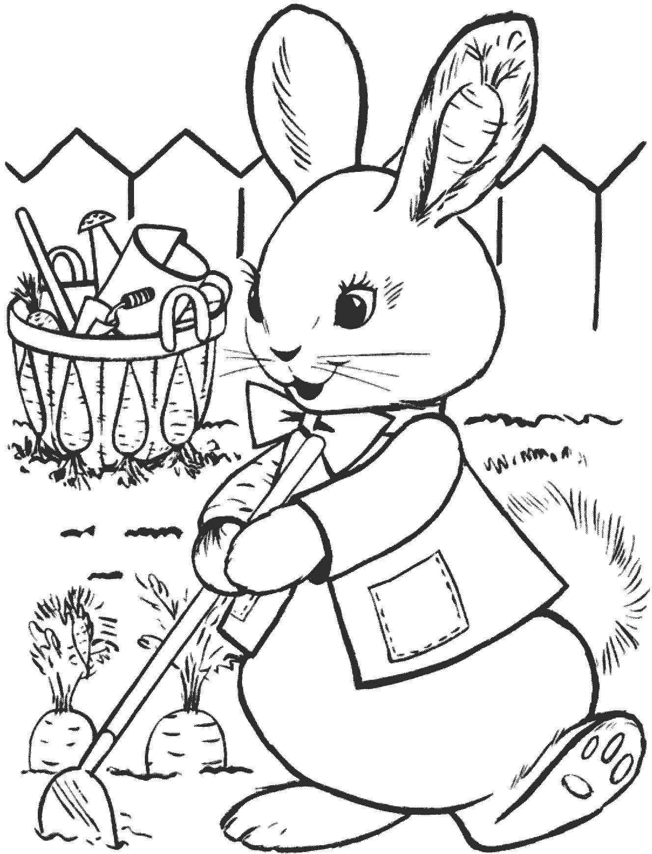 Название: Раскраска Зайка копает морковку. Категория: Животные. Теги: Животные, зайчик.