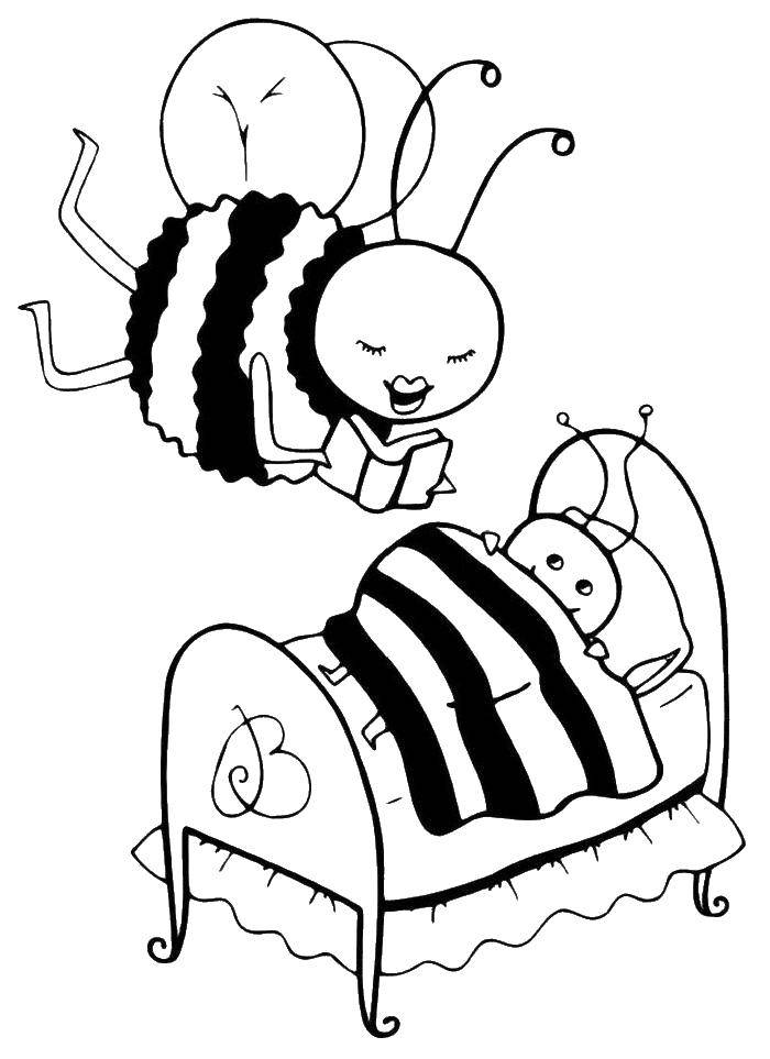 Розмальовки  Мама бджілка читає казку на ніч. Завантажити розмальовку Комахи, бджілка.  Роздрукувати ,ніч,