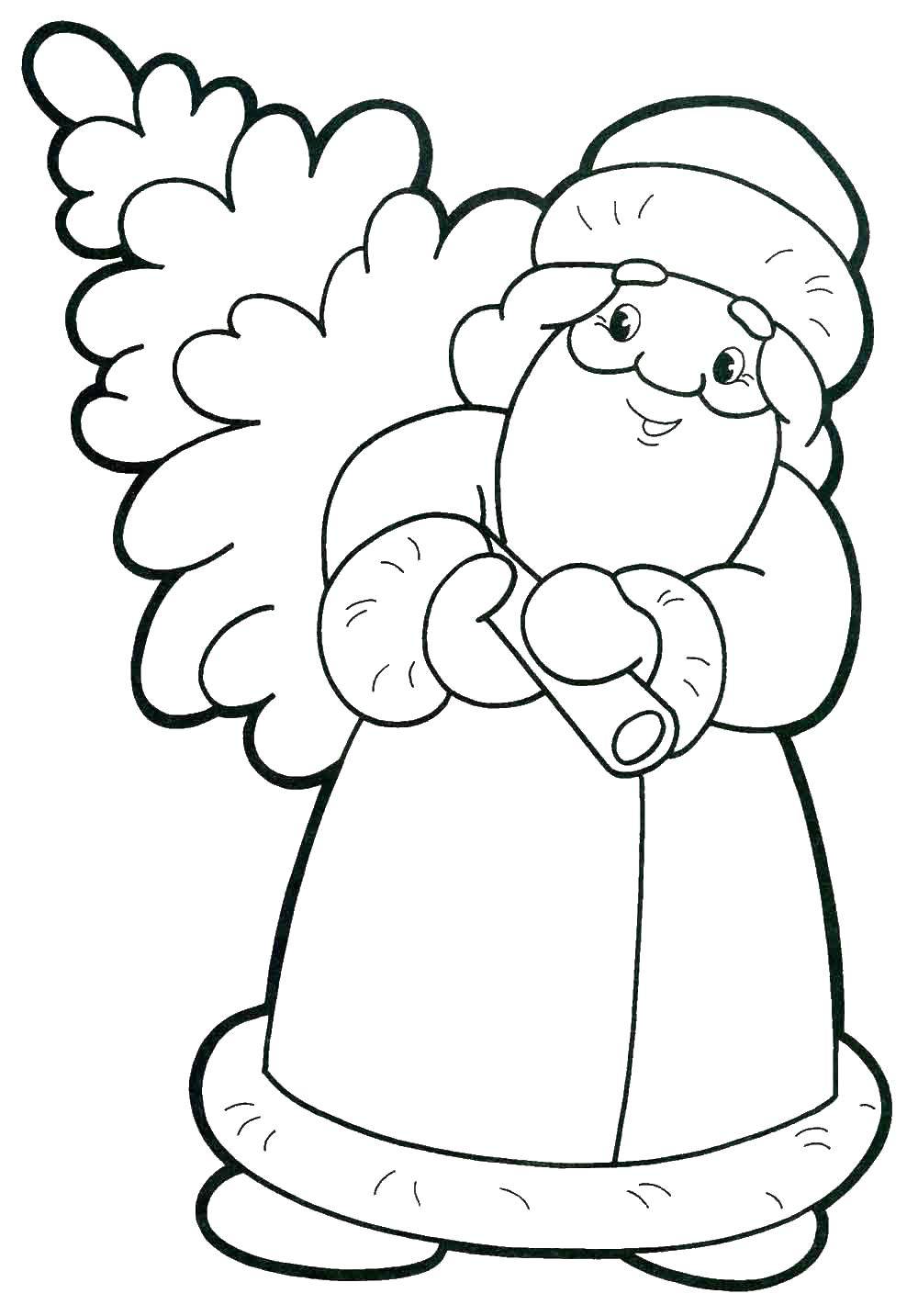 Coloring Santa Claus carries a Christmas tree. Category Santa Claus. Tags:  New Year, Santa Claus.