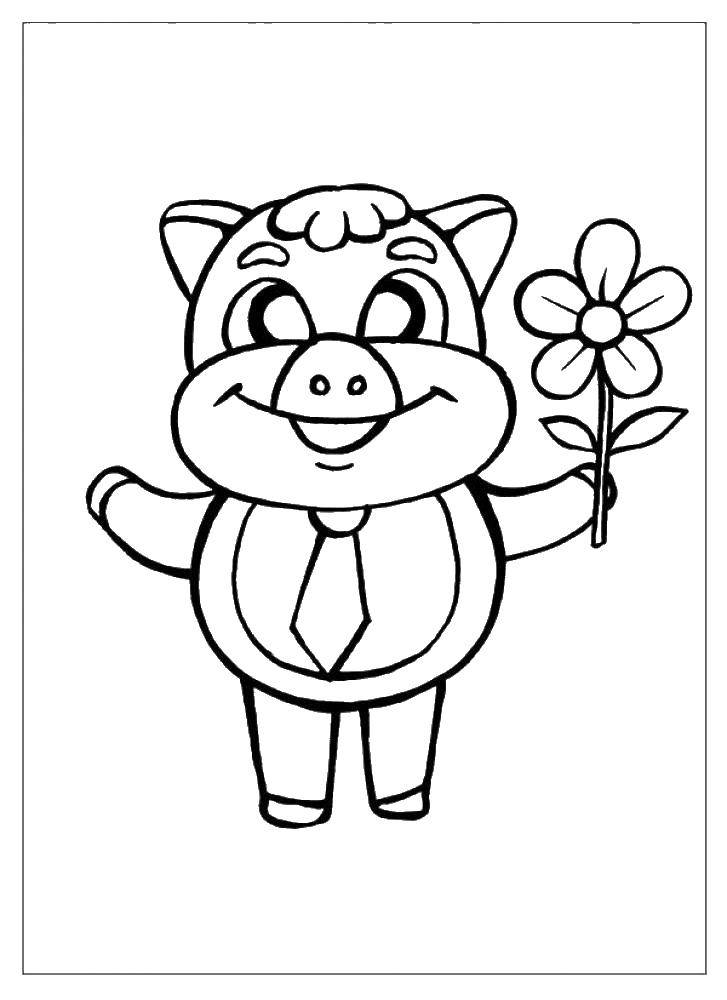 Coloring Pig with flower. Category Animals. Tags:  Animals, pig.