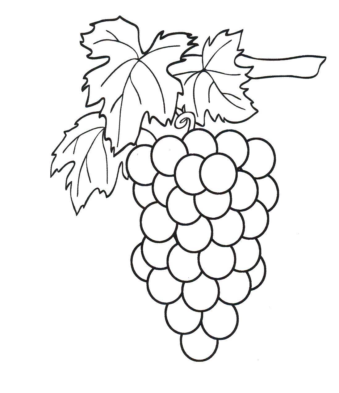 Coloring Bunch of grapes. Category berries. Tags:  grapes.