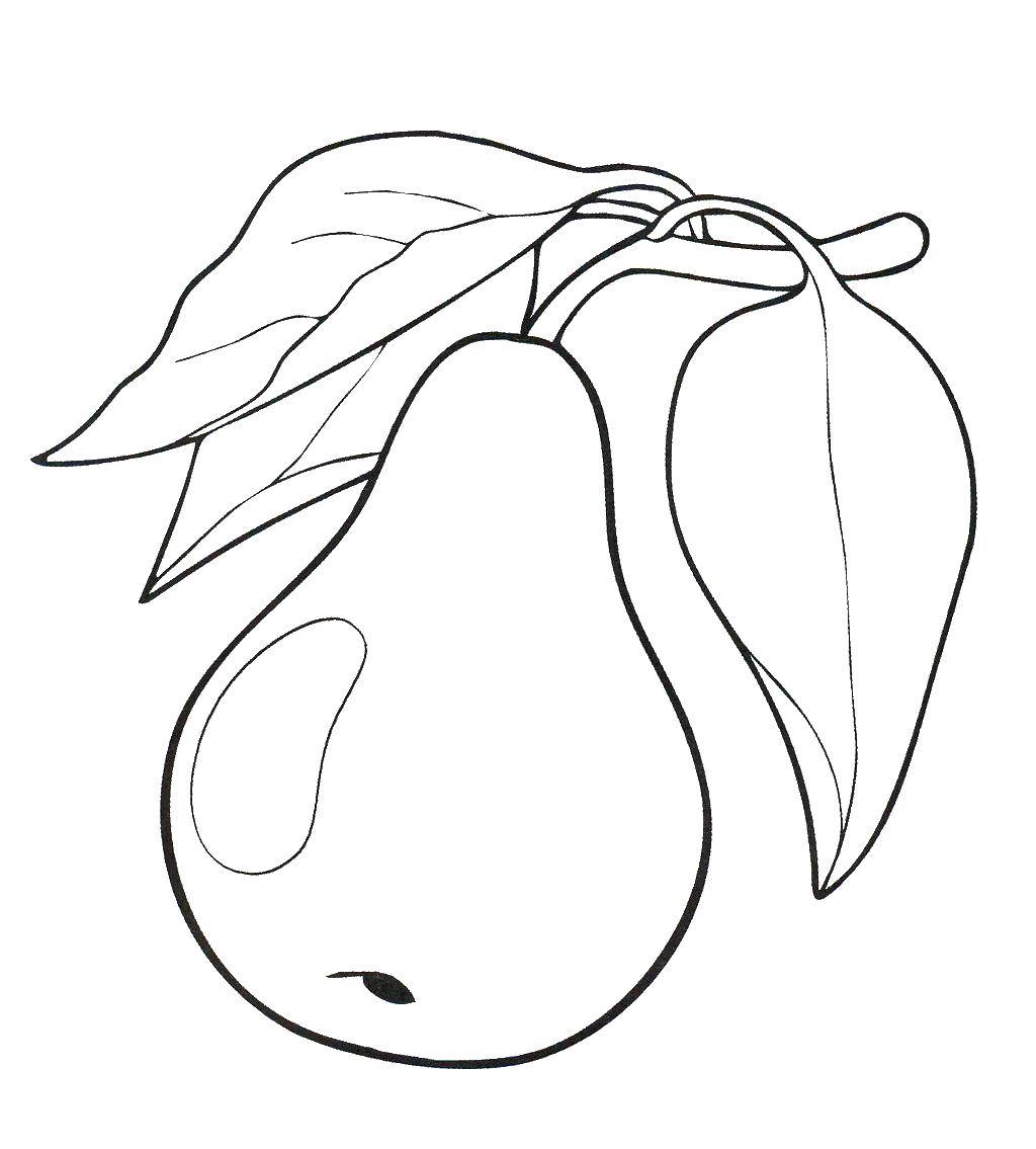 Coloring Pear. Category fruits. Tags:  pear.