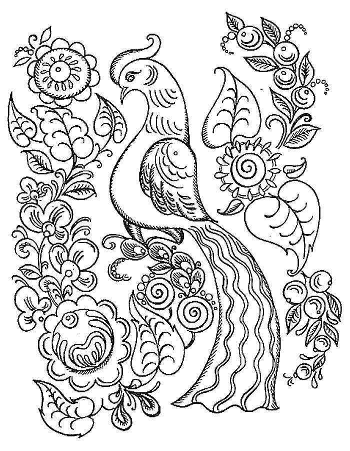 Coloring Bird. Category patterns. Tags:  birds, patterns.