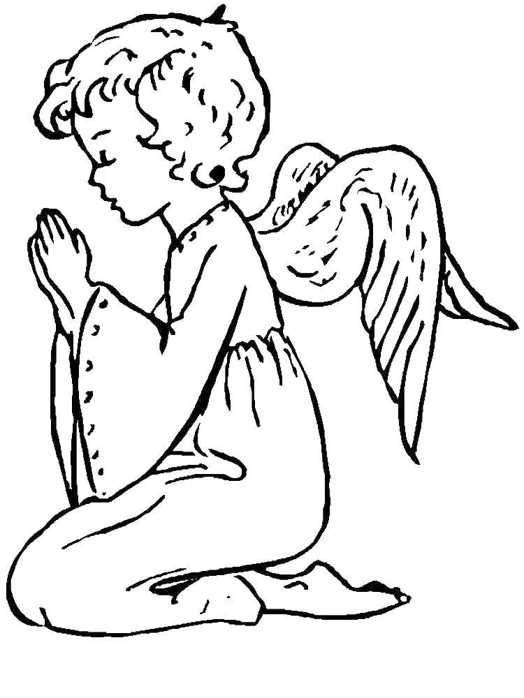 Coloring Angel praying. Category angels. Tags:  angel .