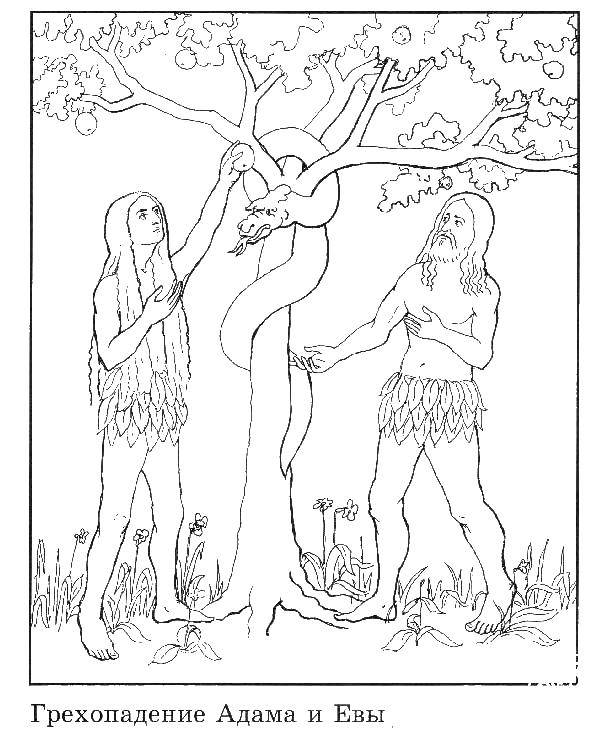 Название: Раскраска Адам и ева у яблони. Категория: религия. Теги: адам, ева, мир, земля.