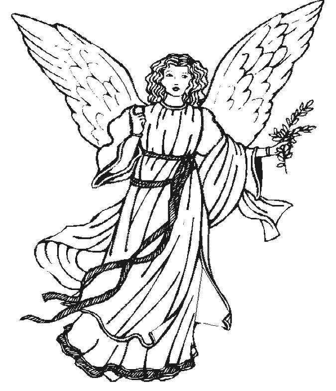 Coloring Guardian angel. Category guardian angel. Tags:  angel, wings, branch of mistletoe.