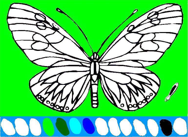 Название: Раскраска Бабочка. Категория: Животные. Теги: бабочка.