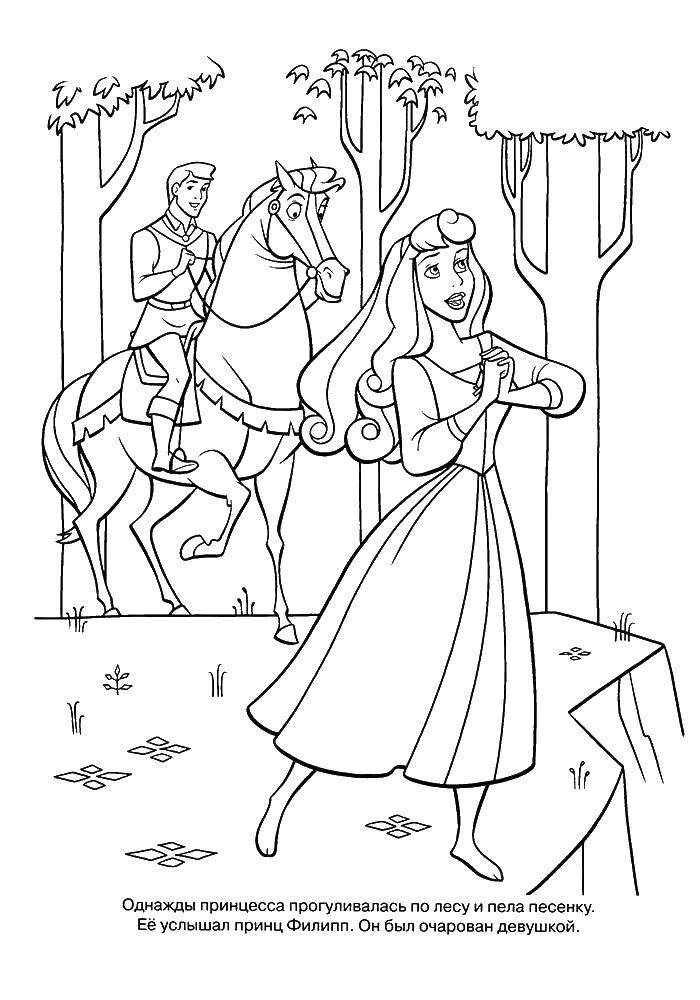 Coloring Princess Aurora and Prince. Category Characters cartoon. Tags:  Princess Aurora, sleeping beauty, the Prince.