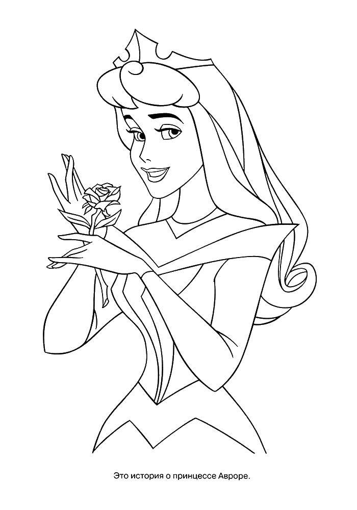 Название: Раскраска Принцесса аврора. Категория: Персонаж из мультфильма. Теги: принцесса Аврора.