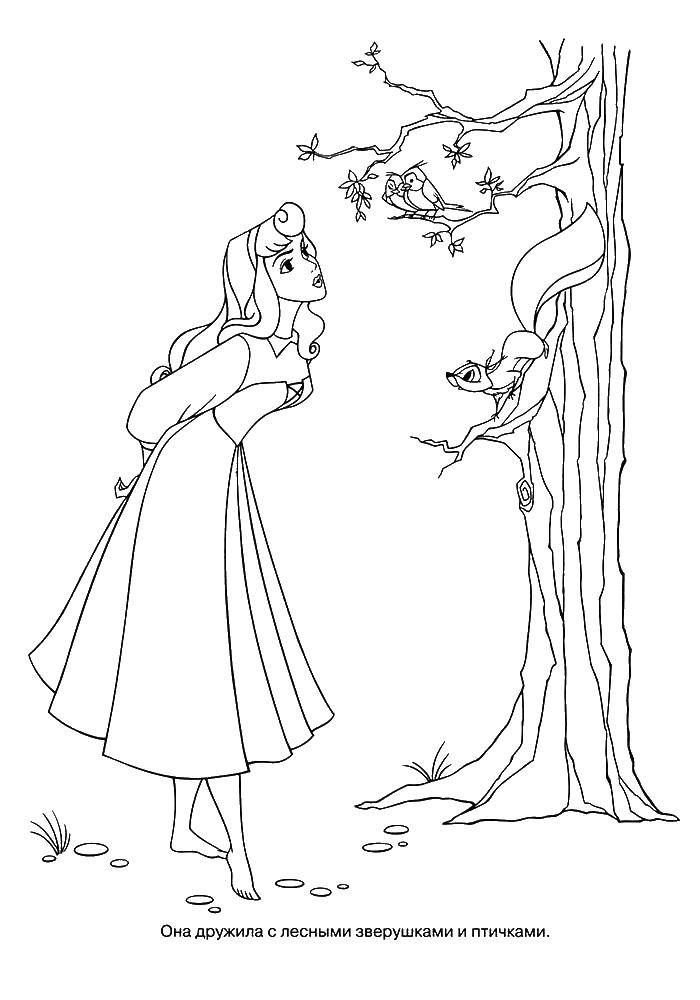 Название: Раскраска Принцесса аврора. Категория: Персонаж из мультфильма. Теги: принцесса Аврора, спящая красавица.