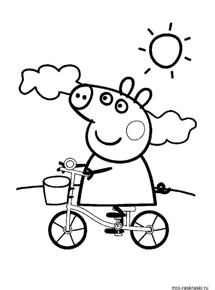 Название: Раскраска Свинка пеппа катается на велосипеде. Категория: мультики. Теги: свинка пепа.
