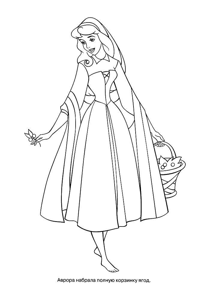 Название: Раскраска принцесса аврора. Категория: Персонаж из мультфильма. Теги: принцесса Аврора, спящая красавица, ягоды.
