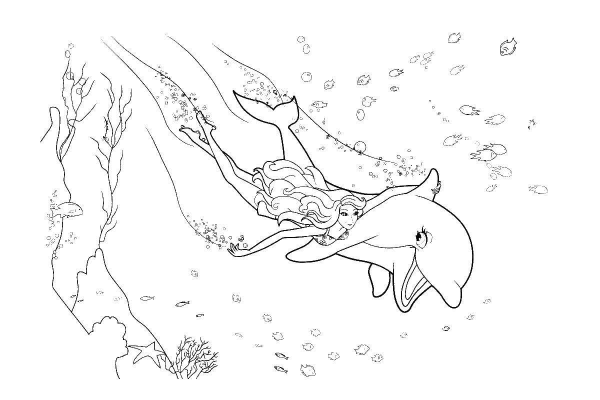Название: Раскраска Барби плавает с дельфином. Категория: дельфин. Теги: Подводный мир, дельфин.