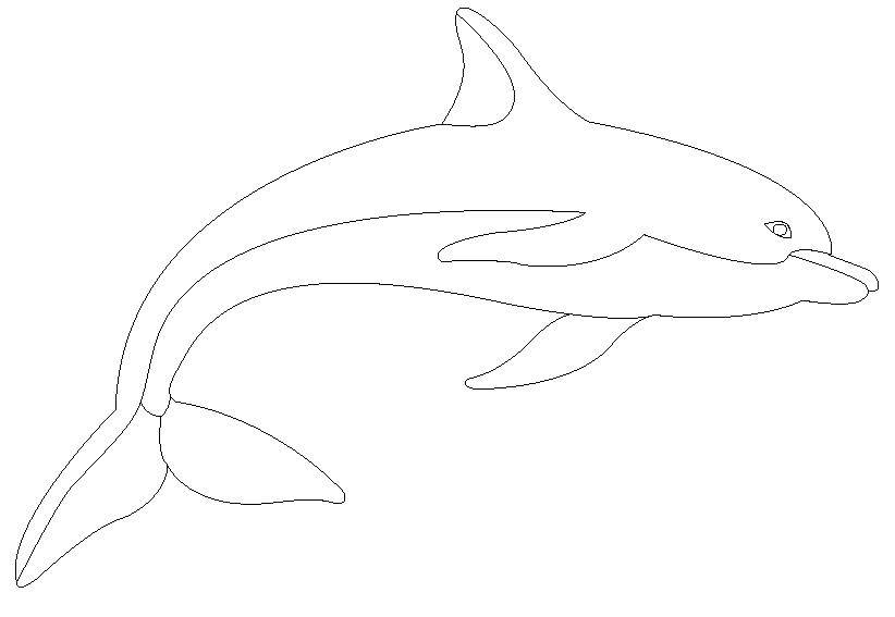Название: Раскраска Дельфин. Категория: дельфин. Теги: Дельфин.