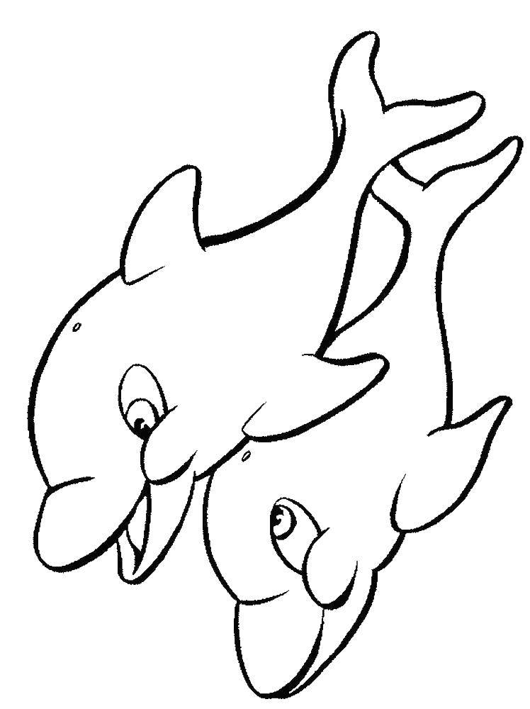 Название: Раскраска Дельфины. Категория: дельфин. Теги: Дельфины.