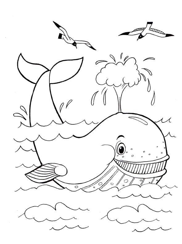 Название: Раскраска Кит пускает фонтанчик. Категория: морское. Теги: Подводный мир, рыба, кит.