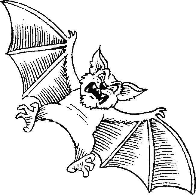 Coloring Bat. Category Animals. Tags:  the mouse.