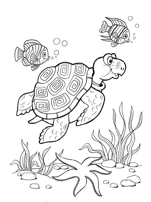 Название: Раскраска Морская черепашка плавает в воде с рыбками. Категория: морское. Теги: Подводный мир, рыба, черепашка.