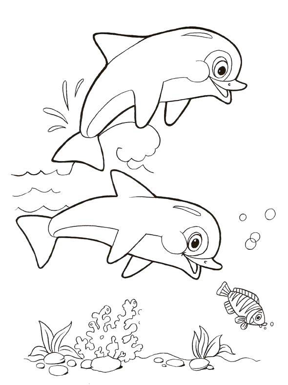 Название: Раскраска Весёлые дельфинчики играют в воде. Категория: дельфин. Теги: Подводный мир, дельфин.