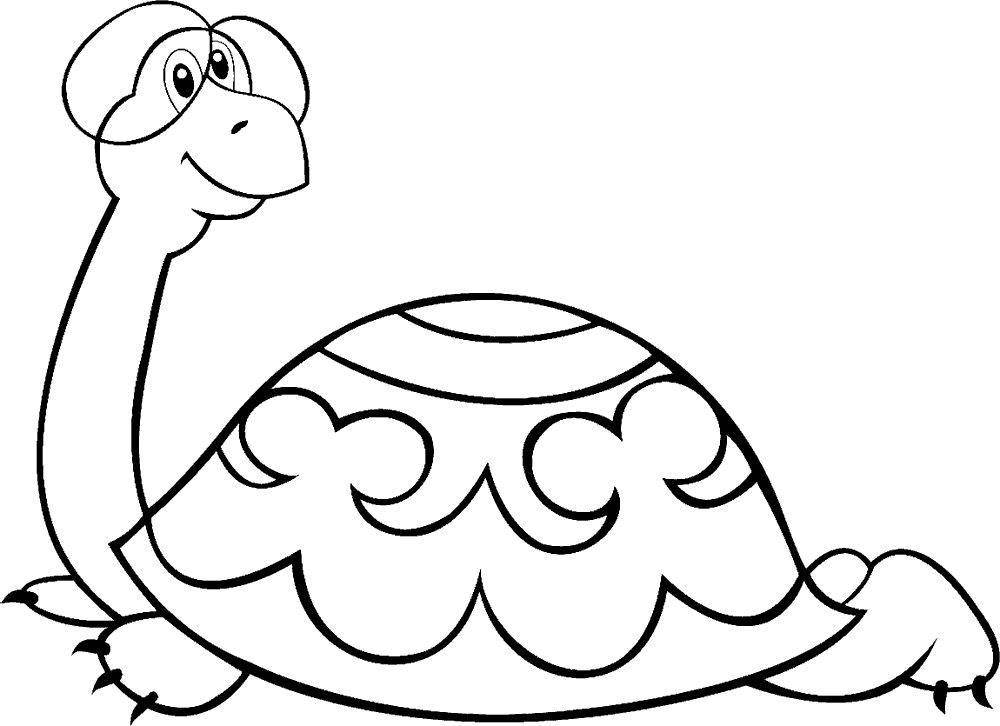 Название: Раскраска Черепаха тартилла. Категория: рептилии. Теги: Рептилия, черепаха.