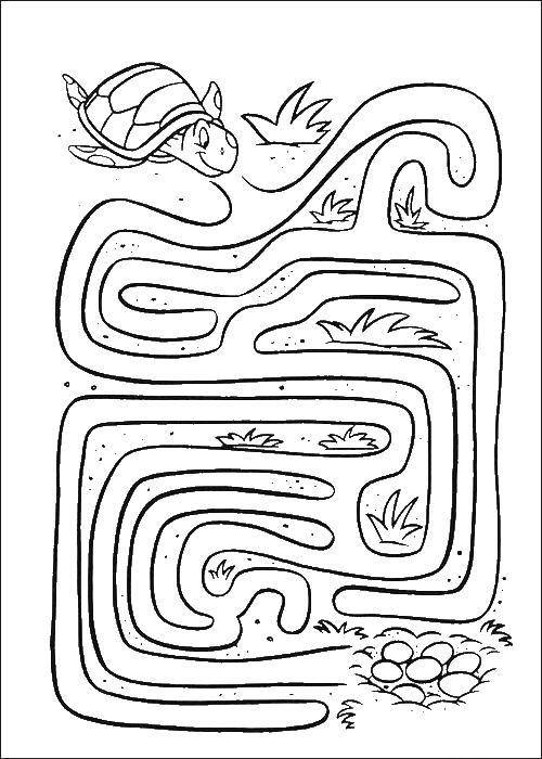 Coloring Bring the mother turtle to her young. Category mazes. Tags:  Maze, logic.