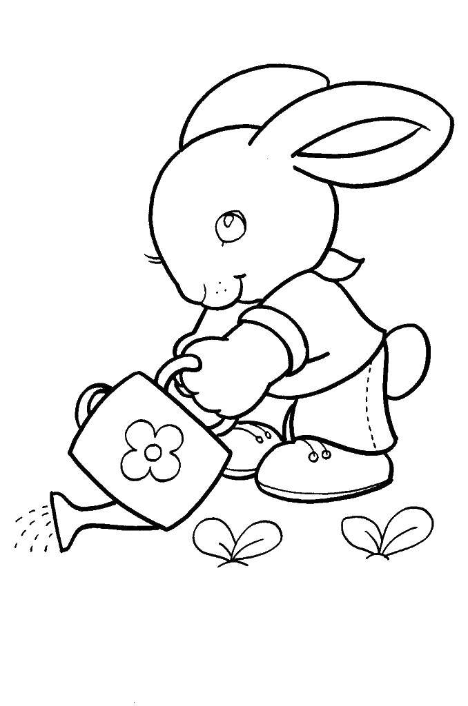Название: Раскраска Кролик полевает огород. Категория: игрушки. Теги: заяц, кролик.