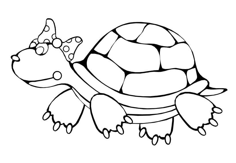 Название: Раскраска Модная черепашка. Категория: рептилии. Теги: Рептилия, черепаха.