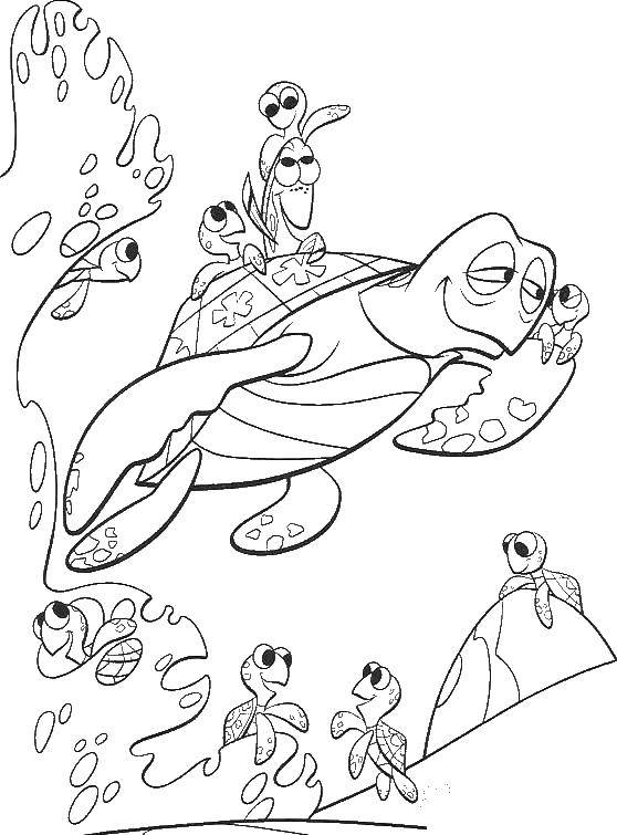 Coloring Sea turtle. Category sea turtle. Tags:  Turtle.