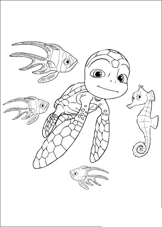 Название: Раскраска Морская черепаха. Категория: морская черепаха. Теги: море, рыбы, животные.