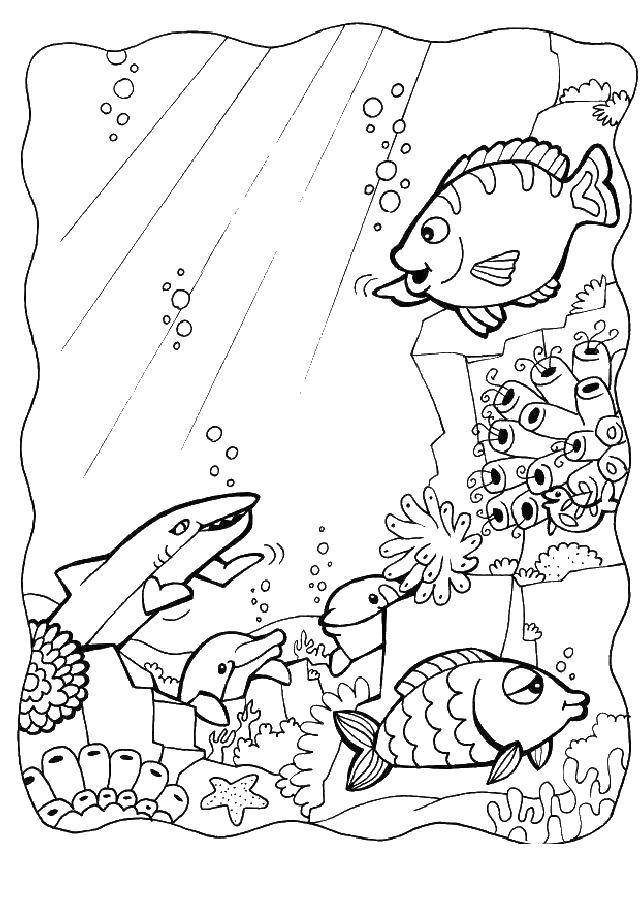 Название: Раскраска Морской мир. Категория: морское. Теги: море, рыбы, животные.